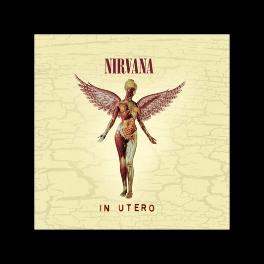 Nirvana: In Utero - TJ vinyl